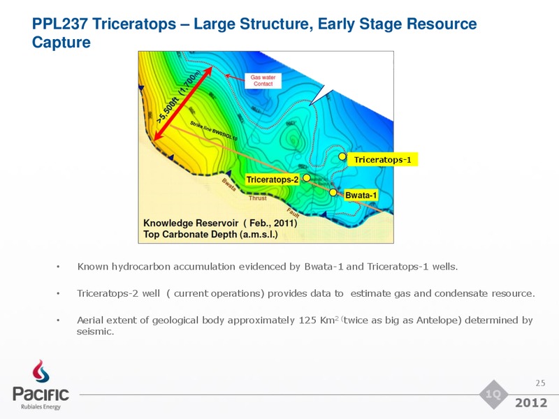 Q1 2012 EARNINGS CALL – Pacific Rubiales Energy Corp. – slide 24