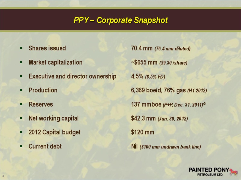 PETERS & CO LIMITED 2012 ENERGY CONFERENCE – Painted Pony Petroleum Ltd – slide 3