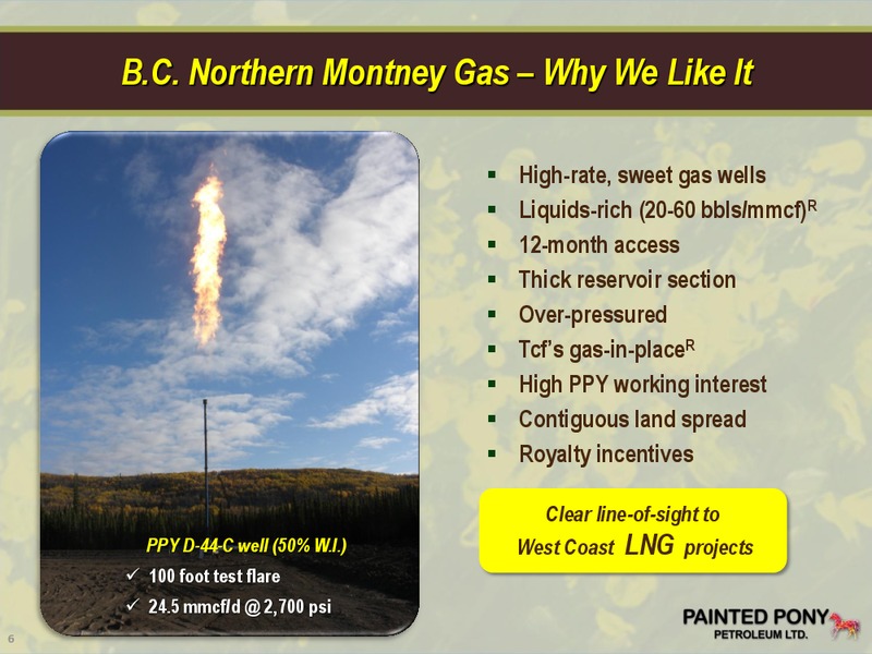 PETERS & CO LIMITED 2012 ENERGY CONFERENCE – Painted Pony Petroleum Ltd – slide 6