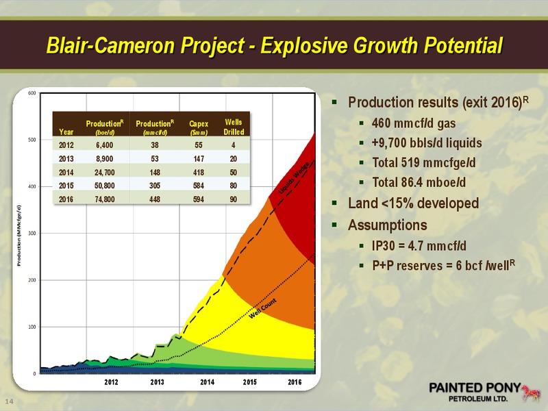PETERS & CO LIMITED 2012 ENERGY CONFERENCE – Painted Pony Petroleum Ltd – slide 14