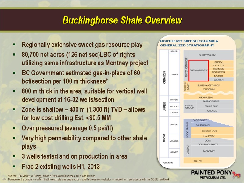 PETERS & CO LIMITED 2012 ENERGY CONFERENCE – Painted Pony Petroleum Ltd – slide 15