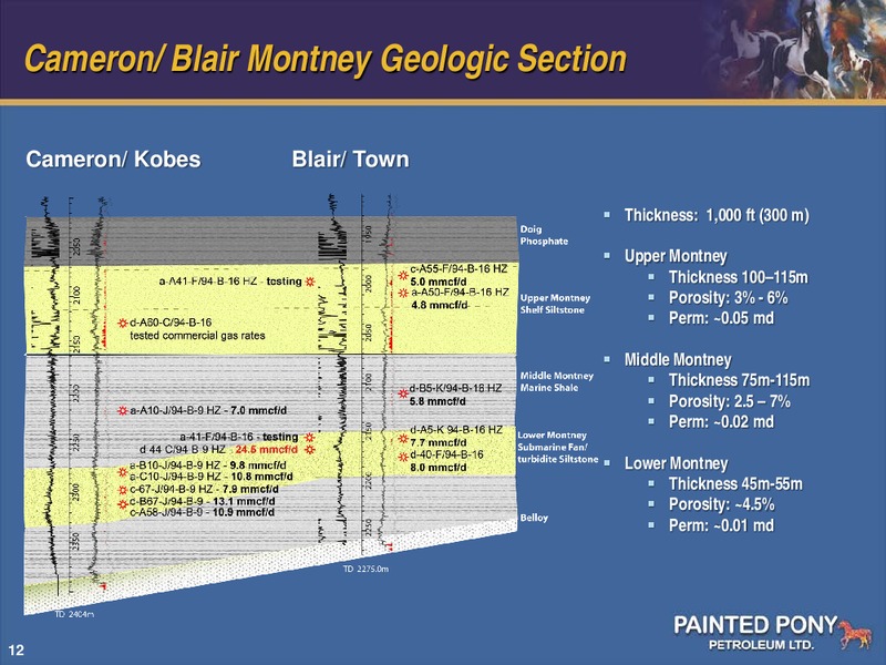 FIRSTENERGY SOCIETE GENERALE ANNUAL ENERGYGROWTH CONFERENCE – Painted Pony Petroleum Ltd – slide 12