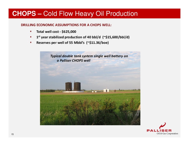 AUGUST 2013 CORPORATE PRESENTATION – Palliser Oil and Gas Corp. – slide 13