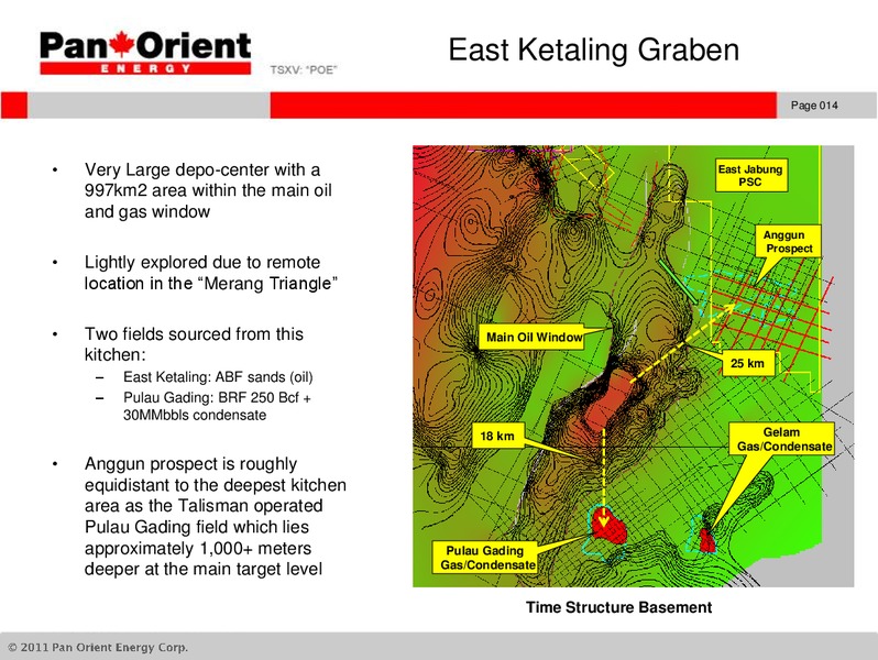 ANNUAL AND SPECIAL MEETING – Pan Orient Energy – slide 13