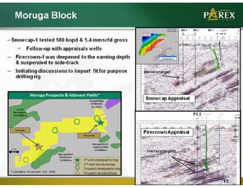PETERS AND CO LIMITED 2011 NORTH AMERICAN OIL AND GAS CONFERENCE – Parex Resources, Inc. – slide 15