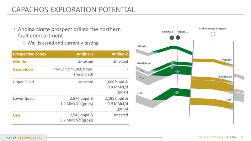 Annual General Meeting – PEMEX – slide 12