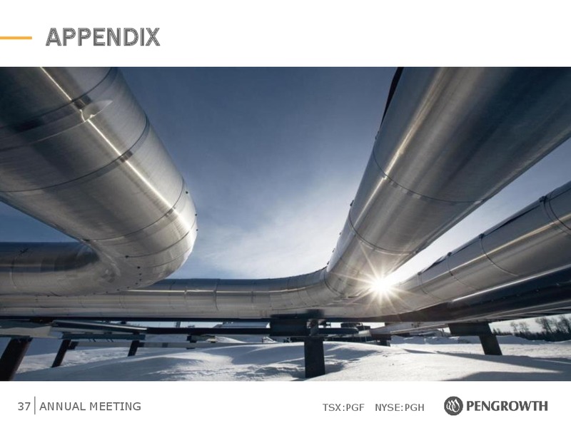 2014 Annual Meeting and Lindbergh Reserves Update – Pengrowth Energy Corp – slide 35