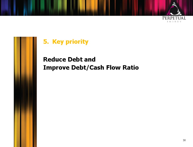 Corporate Presentation – Perpetual Energy Inc – slide 29