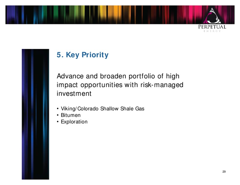 CIBC ENERGY CONFERENCE – Perpetual Energy Inc – slide 28