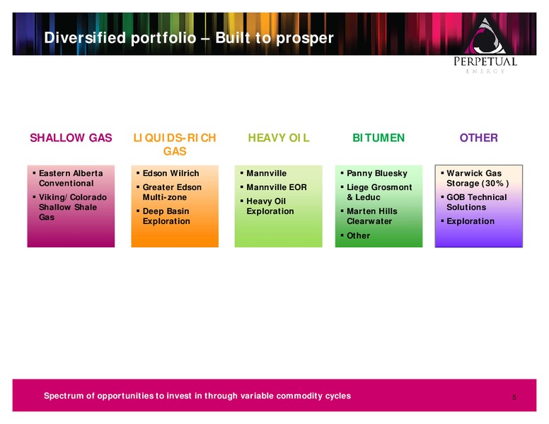 INVESTOR PRESENTATION – Perpetual Energy Inc – slide 4