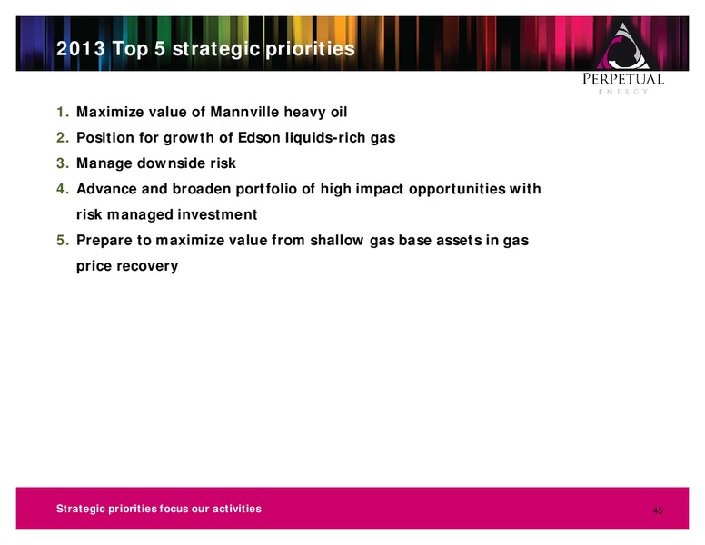 INVESTOR PRESENTATION – Perpetual Energy Inc – slide 43