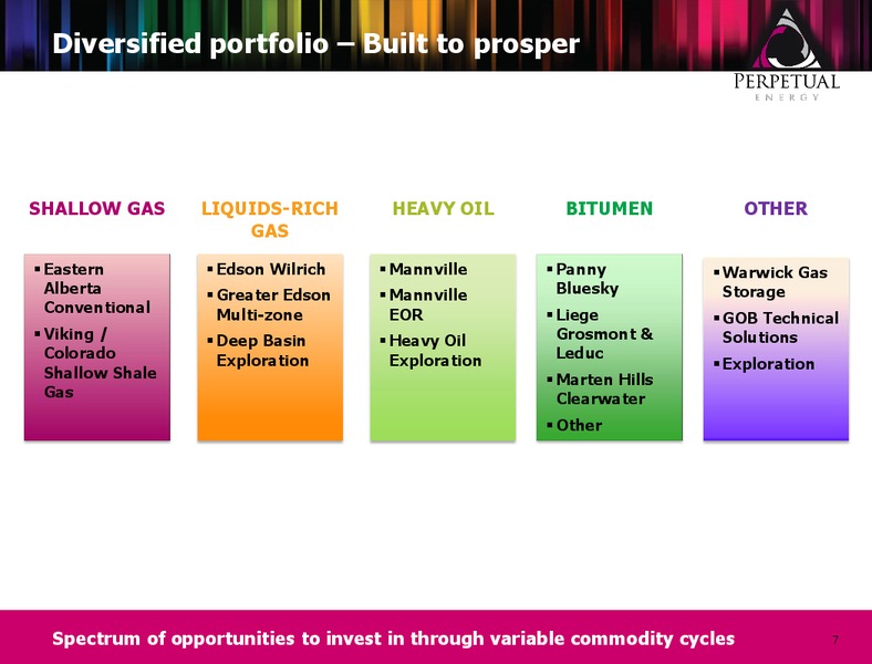 ANNUAL GENERAL MEETING – Perpetual Energy Inc – slide 6