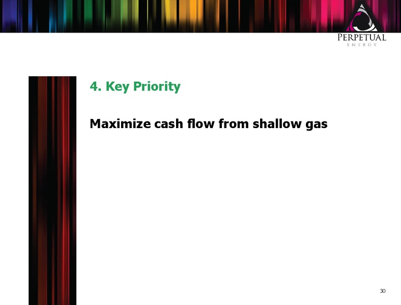 INVESTOR PRESENTATION – Perpetual Energy Inc – slide 29