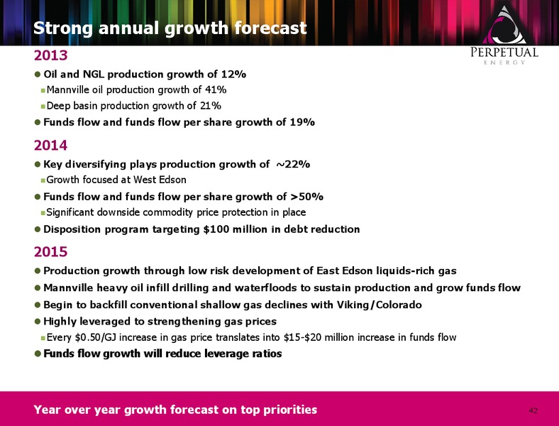INVESTOR PRESENTATION – Perpetual Energy Inc – slide 41