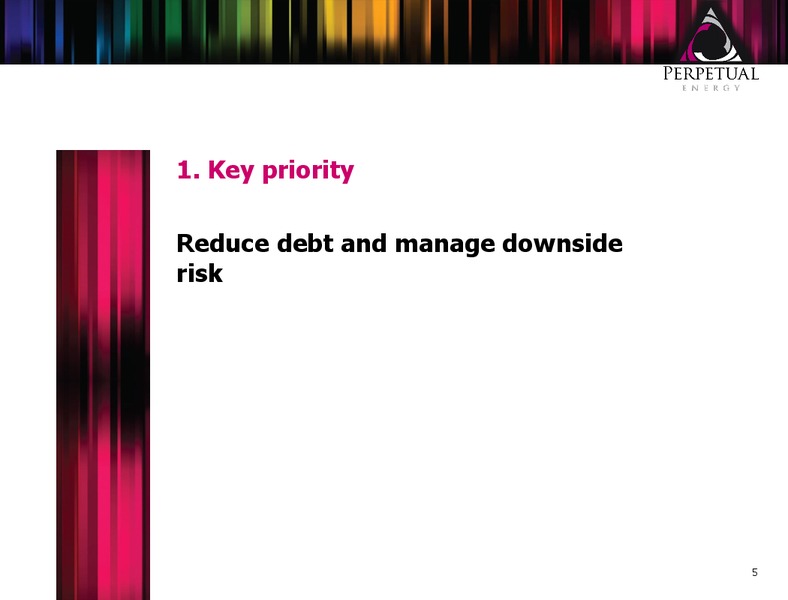 INVESTOR PRESENTATION – Perpetual Energy Inc – slide 4