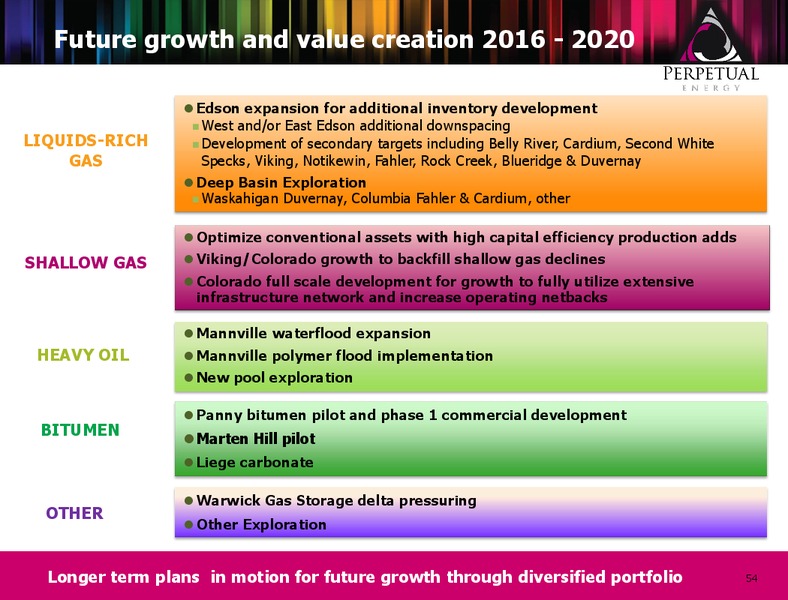INVESTOR PETROLEUM – Perpetual Energy Inc – slide 53