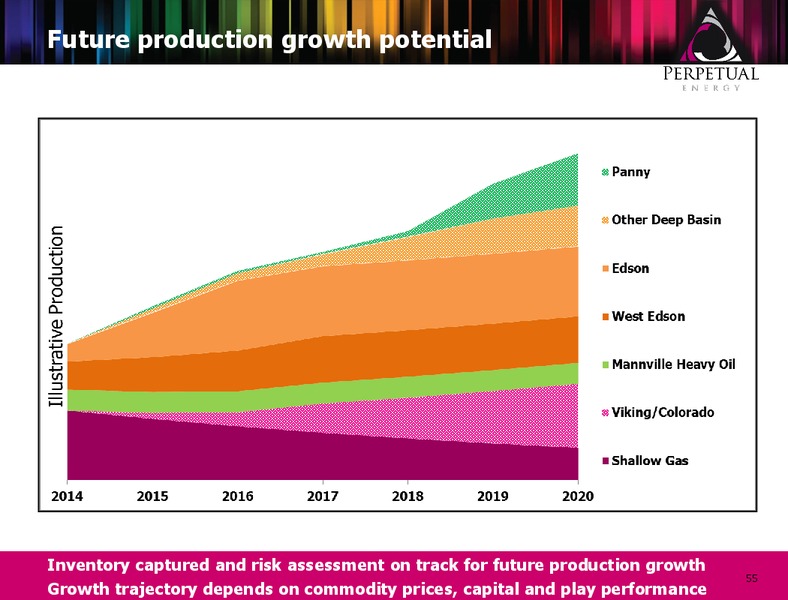INVESTOR PETROLEUM – Perpetual Energy Inc – slide 54
