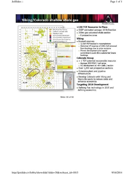FIRSTENERGY GLOBAL ENERGY CONFERENCE – Perpetual Energy Inc – slide 30