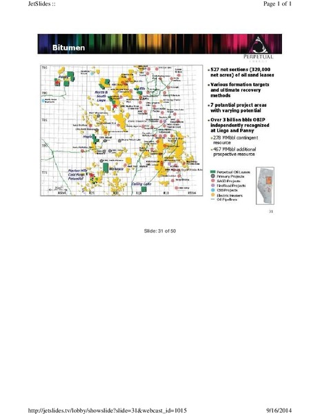 FIRSTENERGY GLOBAL ENERGY CONFERENCE – Perpetual Energy Inc – slide 31