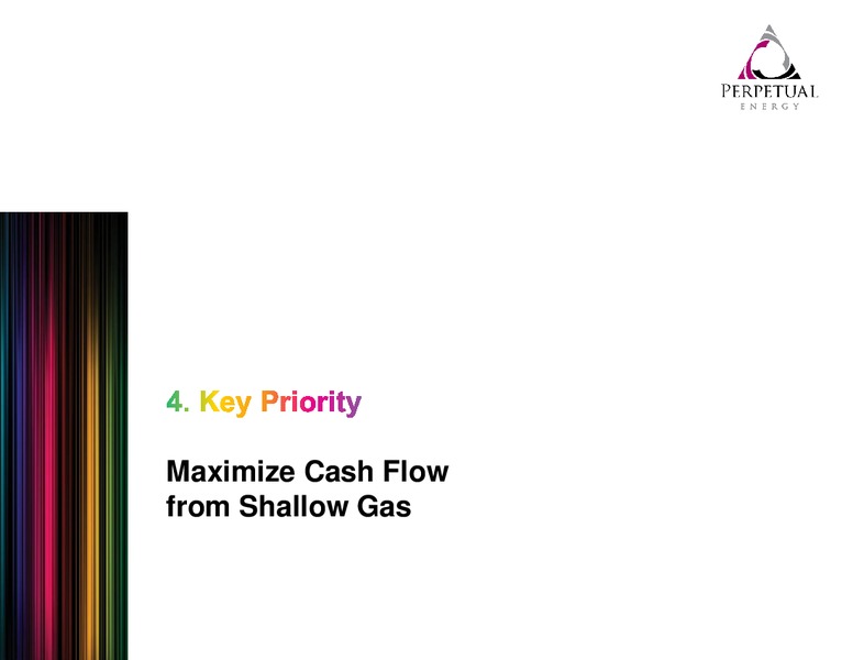 PETERS & CO ENERGY CONFERENCE – Perpetual Energy Inc – slide 29