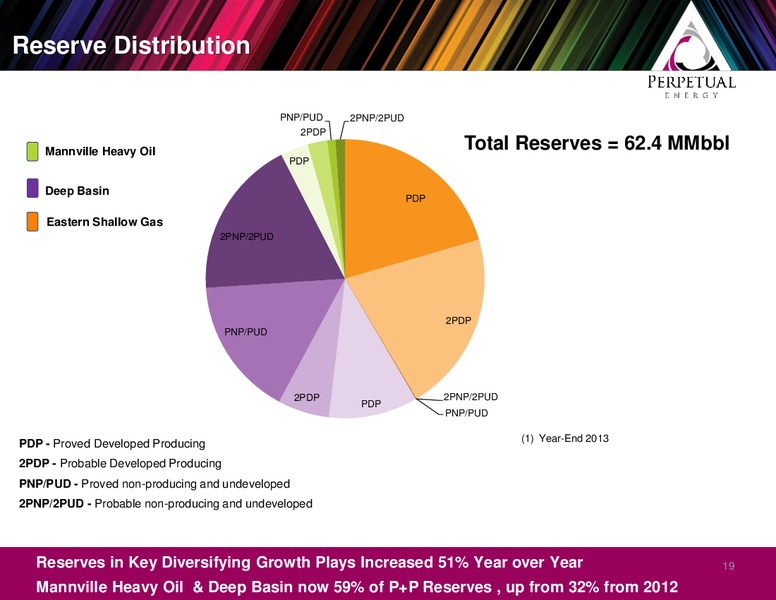 Year End Webcast – Perpetual Energy Inc – slide 19