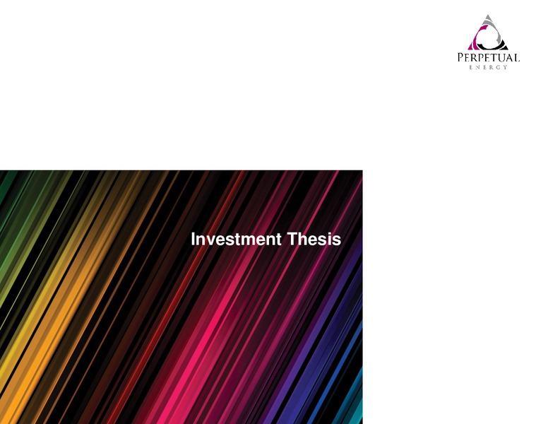 Year End Webcast Presentation – Perpetual Energy Inc – slide 22