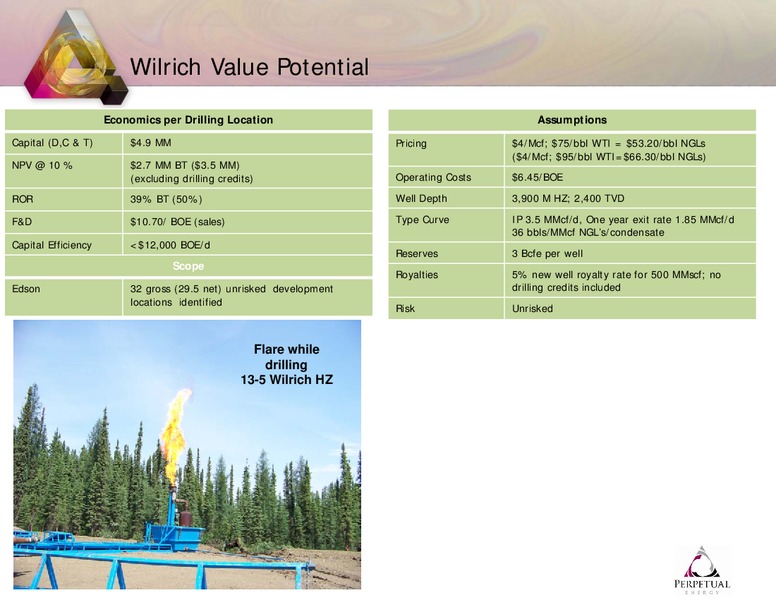 Q4 2010 EARNINGS CALL – Perpetual Energy Inc – slide 25