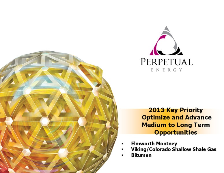 2012 EARNINGS CALL – Perpetual Energy Inc – slide 48