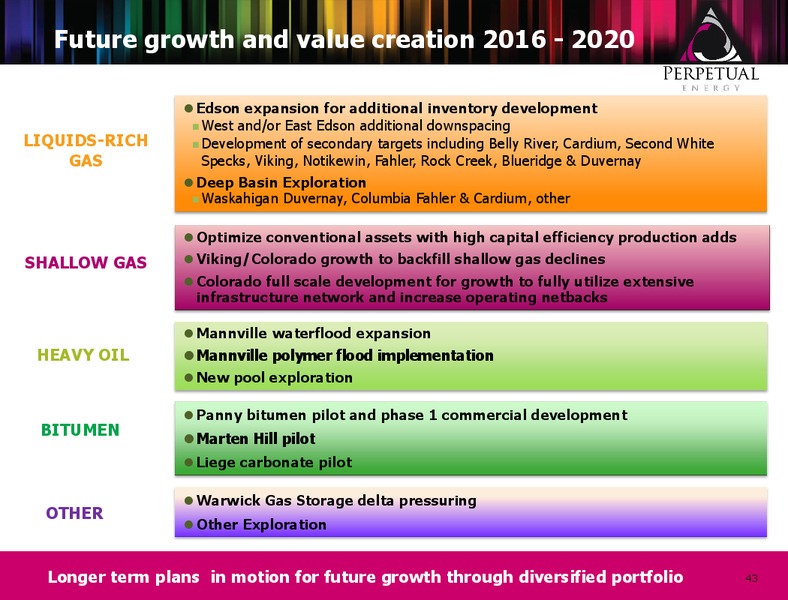 Annual General Meeting – Perpetual Energy Inc – slide 42