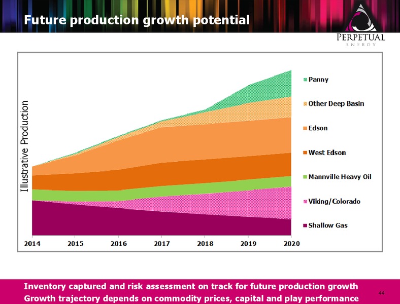 Annual General Meeting – Perpetual Energy Inc – slide 43