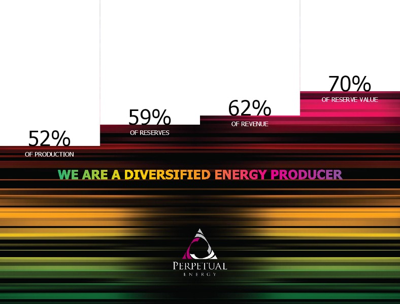 MAY 2014 ANNUAL GENERAL MEETING – Perpetual Energy Inc – slide 3