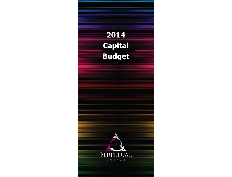 MAY 2014 ANNUAL GENERAL MEETING – Perpetual Energy Inc – slide 38