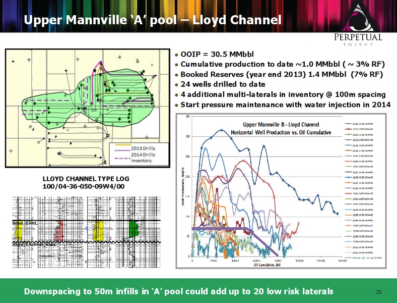 Perpetual Annual General Meeting – Perpetual Energy Inc – slide 24