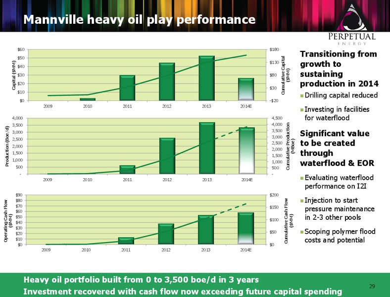 Perpetual Annual General Meeting – Perpetual Energy Inc – slide 28