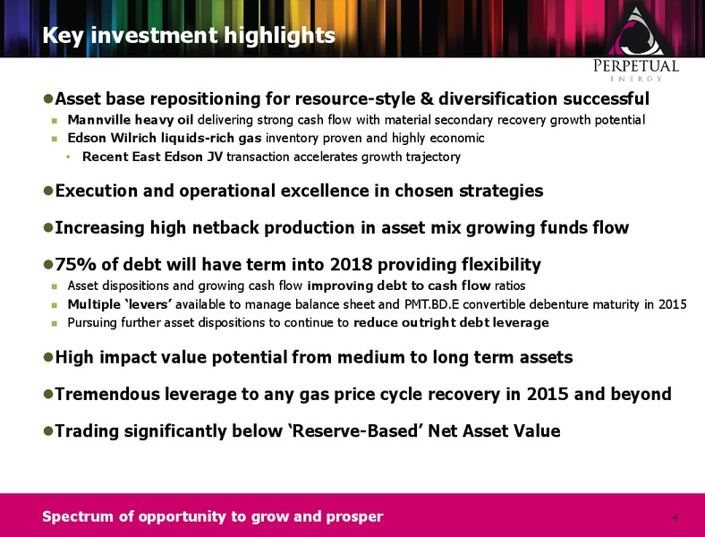 Investor Presentation – Perpetual Energy Inc – slide 3