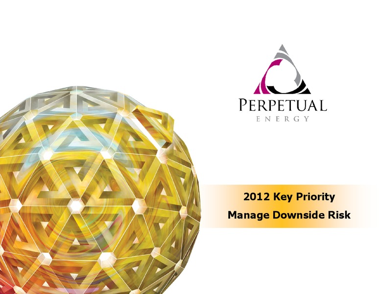 NOVEMBER 2012 INVESTOR PRESENTATION – Perpetual Energy Inc – slide 28