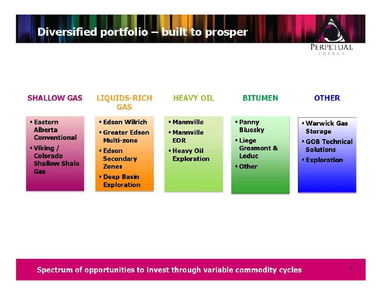 FIRSTENERGY CAPITAL ENERGY GROWTH CONFERENCE – Perpetual Energy Inc – slide 5