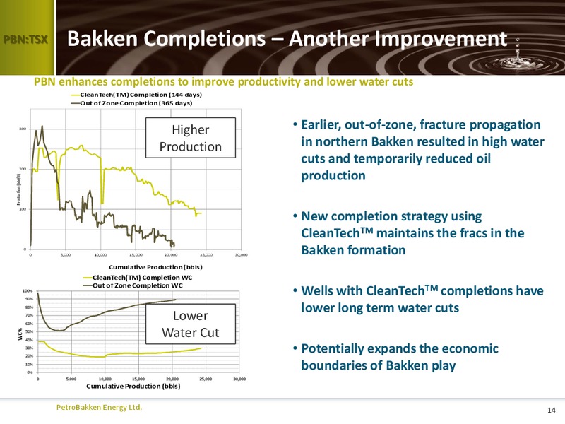 CAPP OIL & GAS INVESTMENT SYMPOSIUM – Petrobakken Energy Ltd. – slide 13