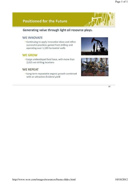 CANACCORD GENUITY 6TH ANNUAL GLOBAL RESOURCES CONFERENCE – Petrobakken Energy Ltd. – slide 20