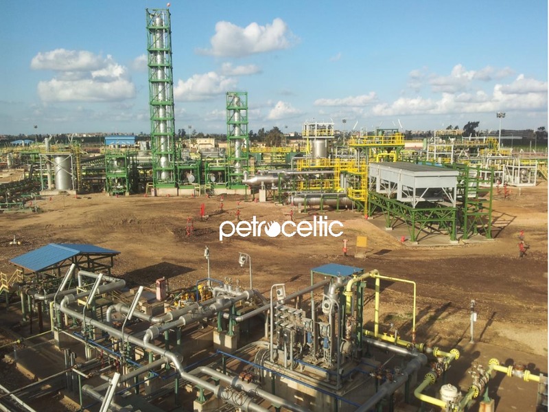 Annual General Meeting – Petroceltic International Plc – slide 31