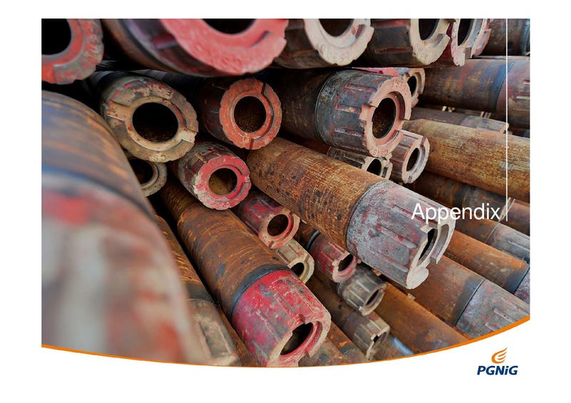 Q1 2014 RESULTS – PGNiG – slide 13