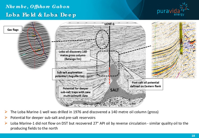 Investor Presentation – Pura Vida Energy Nl – slide 17