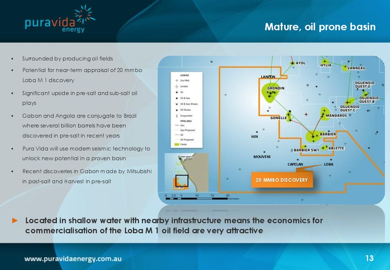 Investor Presentation – Pura Vida Energy Nl – slide 13