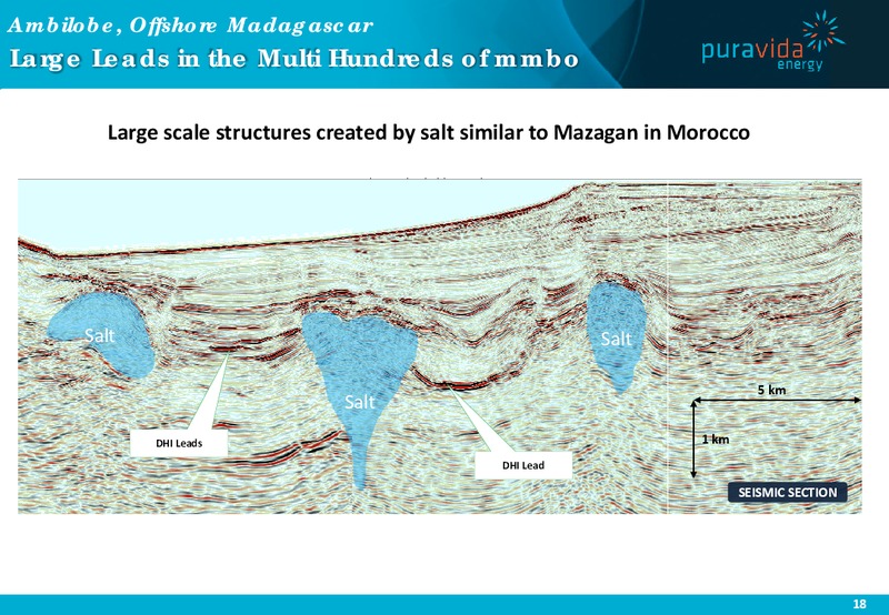 INVESTOR PRESENTATION – Pura Vida Energy Nl – slide 18