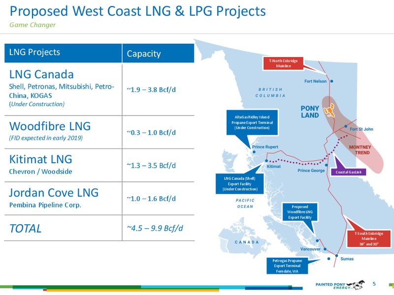 January 2019 Investor Presentation – Painted Pony Energy Ltd. – slide 5