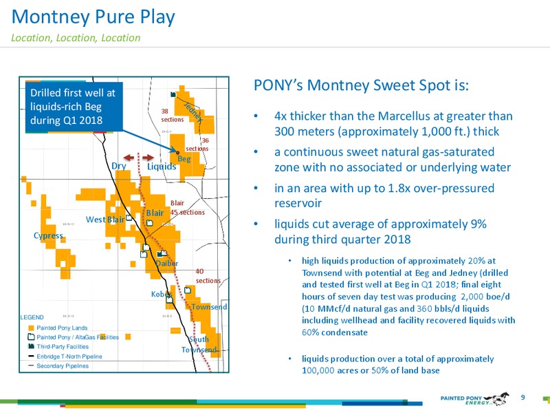 January 2019 Investor Presentation – Painted Pony Energy Ltd. – slide 9