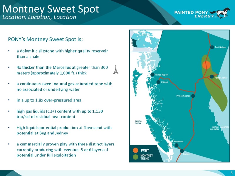June 2017 Investor Presentation – Painted Pony Energy Ltd. – slide 4