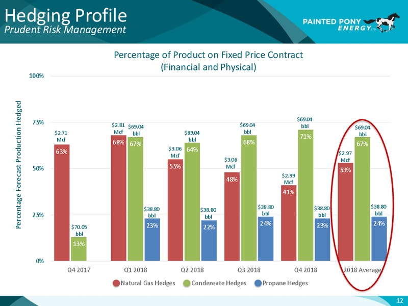 Celebrating 10 Years of Growth – Painted Pony Energy Ltd. – slide 13