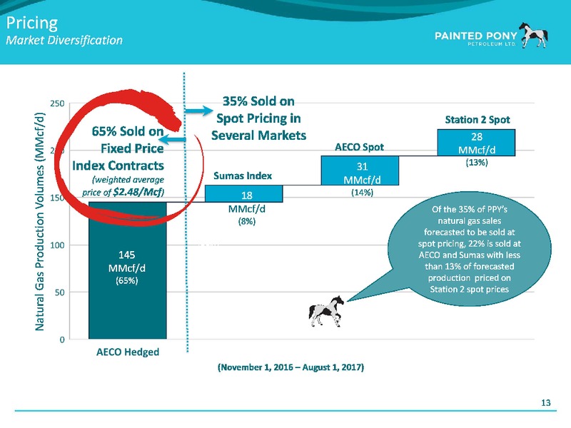 January 2017 Investor Update – Painted Pony Energy Ltd. – slide 14