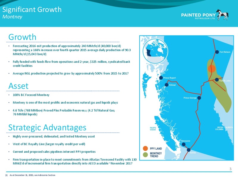 Peters & Co Energy Conference – Painted Pony Petroleum Ltd – slide 4